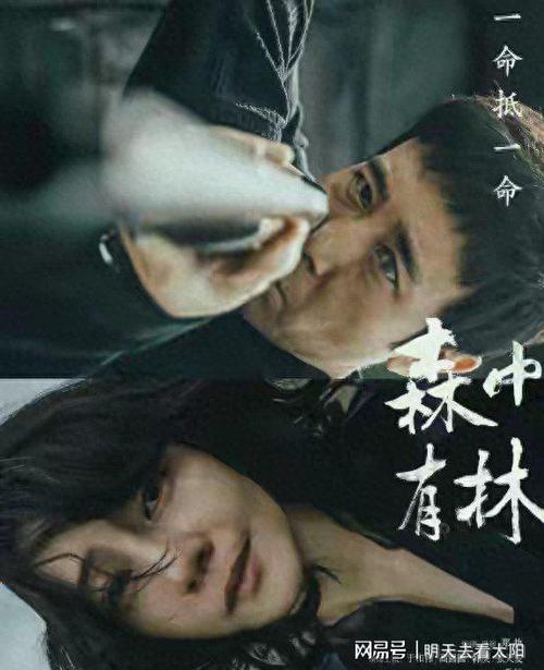 于和伟高圆圆《森中有林》免费