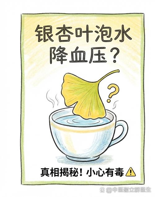 银杏叶可以泡水喝吗