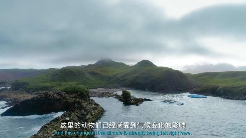 蔚蓝星球合集在线观看