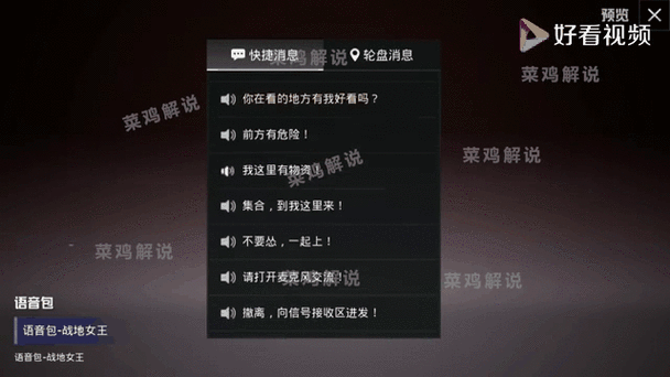 和平精英 标点语音