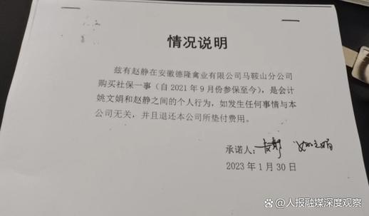 个人垫付资金情况说明