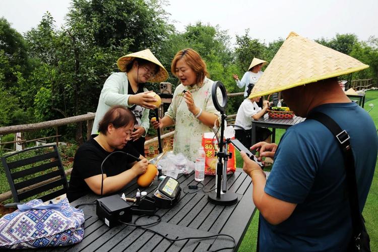 乡村悠闲直播系统