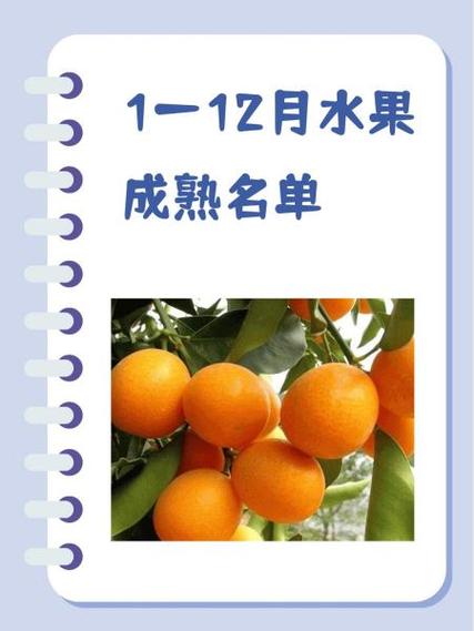 草莓橙子杨桃西瓜樱桃青桔