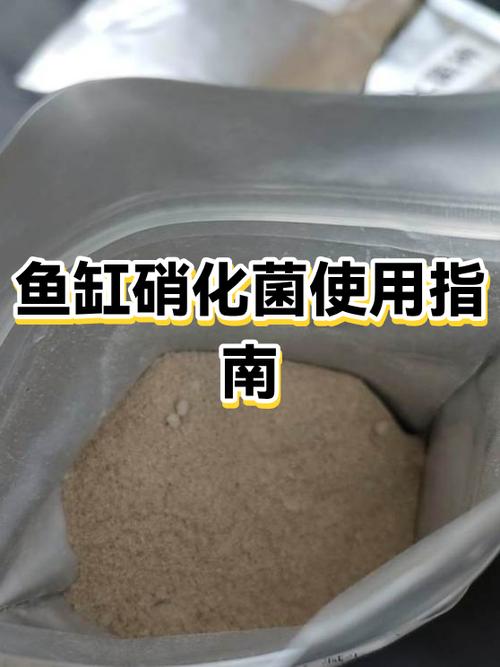 鱼缸放益生菌和硝化菌
