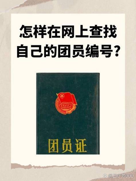 团员证电子版怎么查