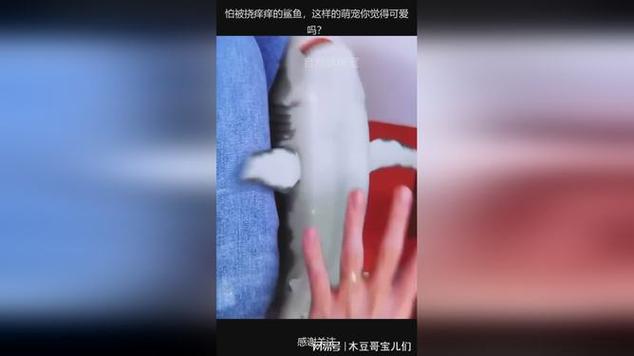 挠痒痒的鲨鱼妹妹脚底板