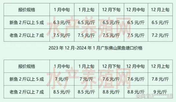黑鱼多少钱一斤2026年价格