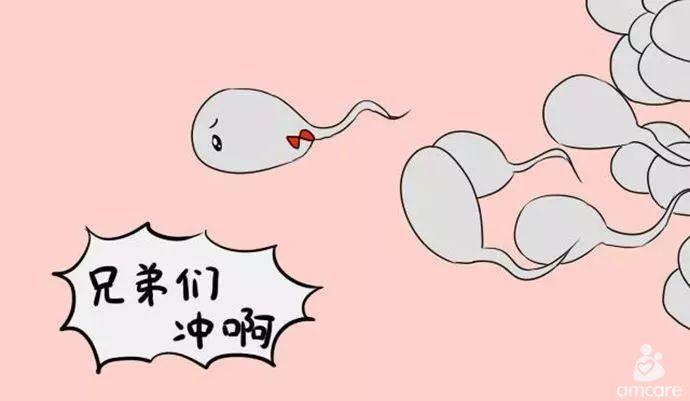 怎么样加速精子进去的速度