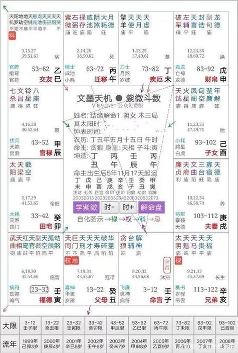 紫薇星斗免费排盘