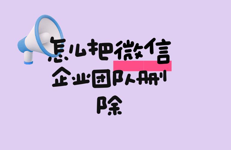 微信团队可以删除吗