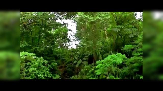 电影绿色地狱被劈两半的被删了吗