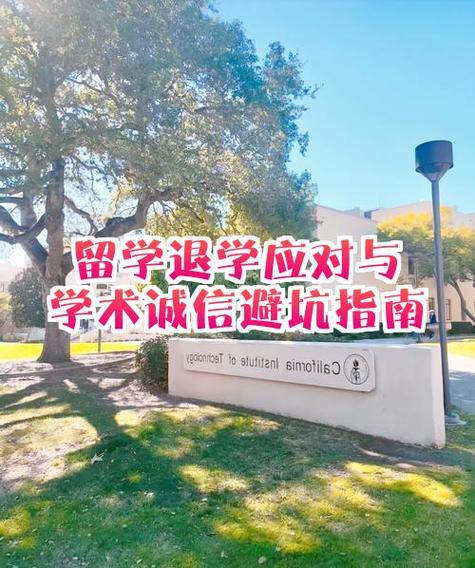 留学中途退学要怎么补救