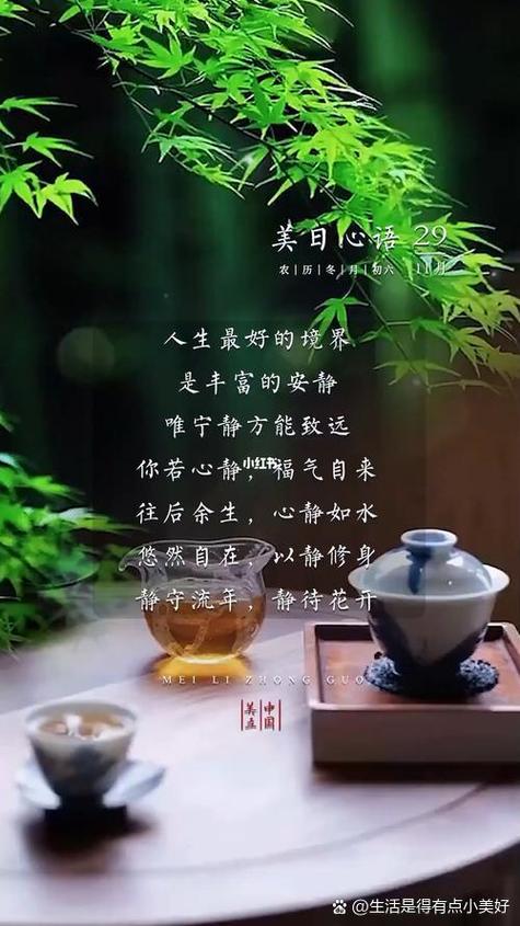 人生感悟100篇