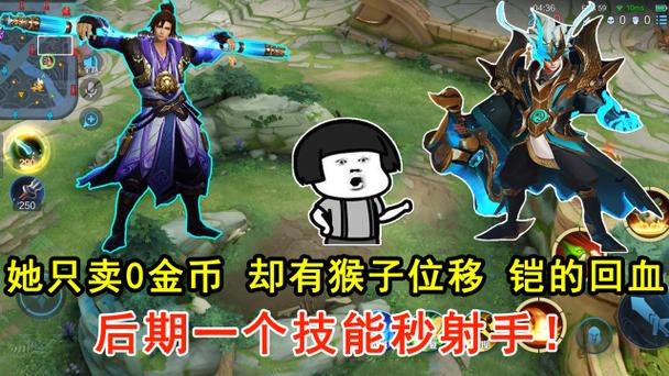 小皮解说