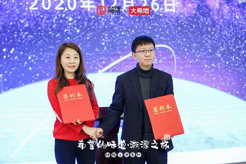 嗨团老板简历