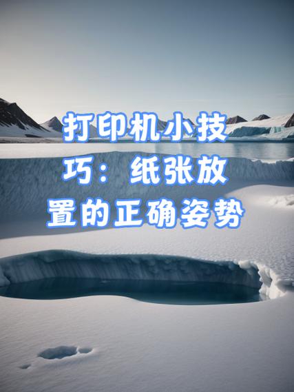 打印机纸放在哪个位置