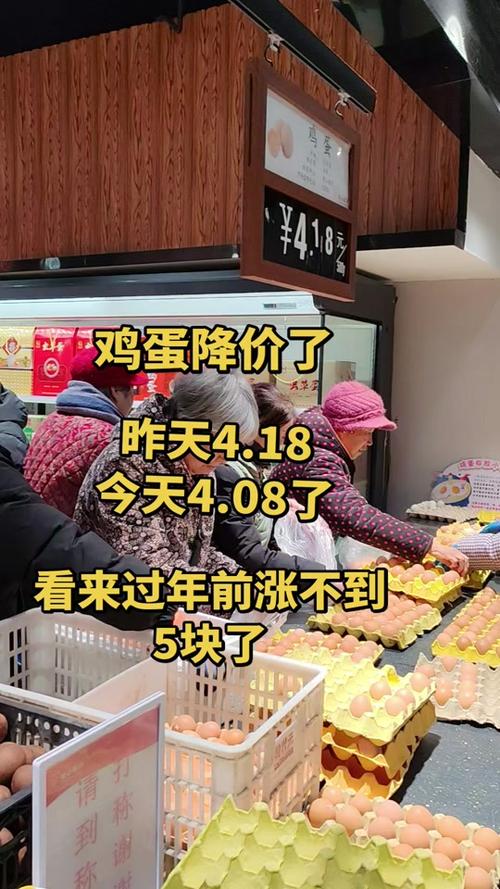 今日鸡蛋一斤价格表