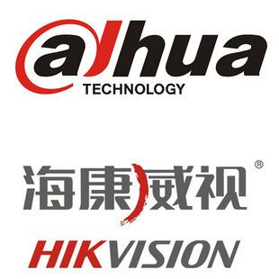 大华监控app叫什么