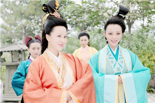 芈月传西瓜影音观看