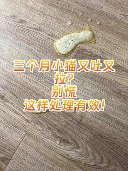 小猫又拉又吐