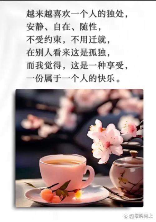 一个人孤独的经典句子