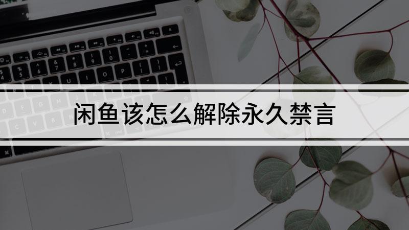 闲鱼禁言了怎么恢复