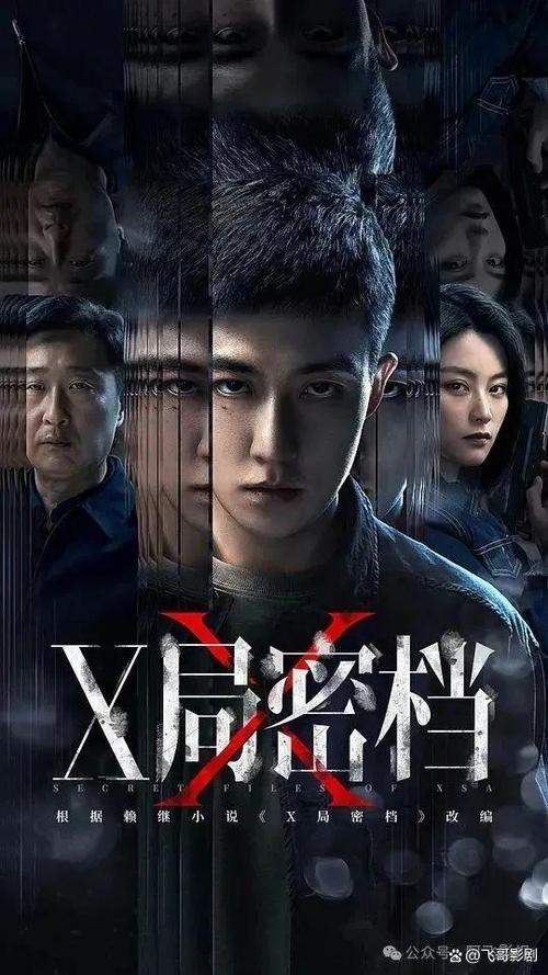 已上映最新谍战
