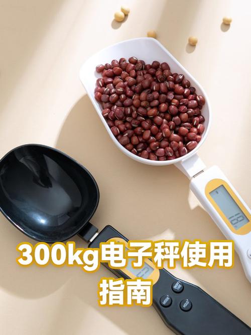 300公斤的电子秤多少钱一台