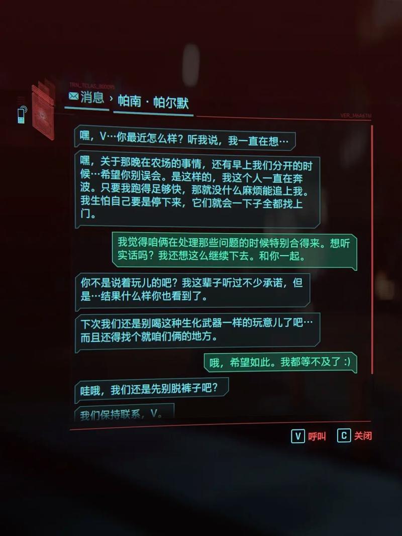 赛博朋克2077帕南对话选项