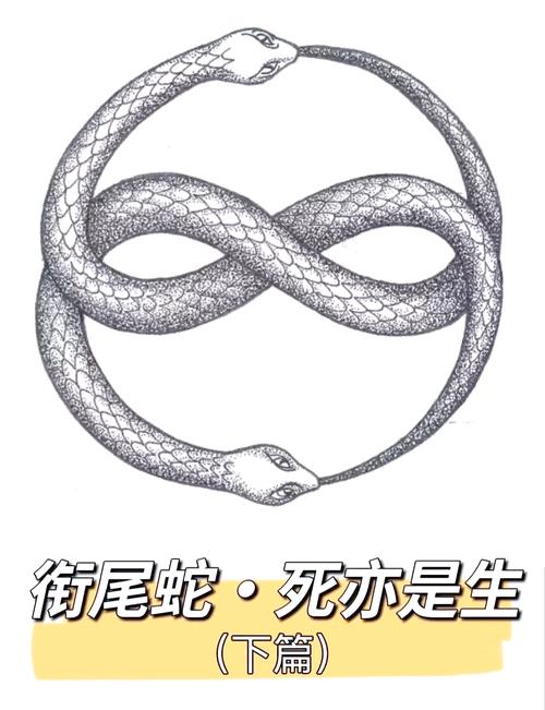 无限循环又叫什么