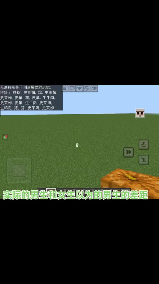 我的世界小薇网易视频