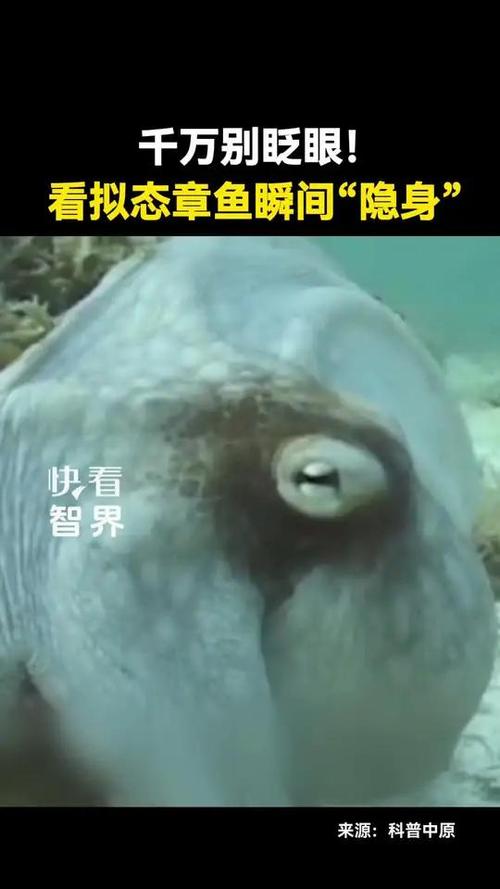 美图秀秀把人p掉