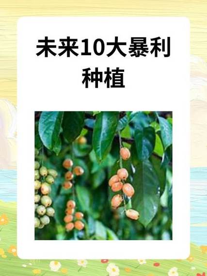 未来10大暴利种植