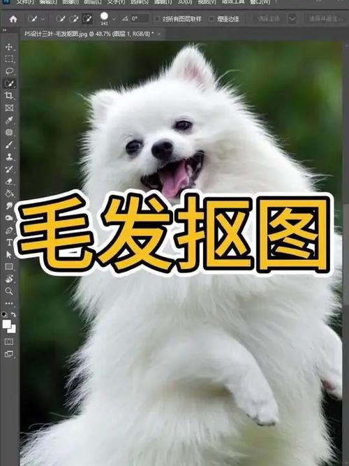 ps抠图怎么抠出来