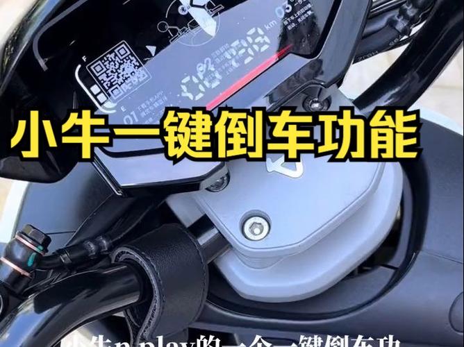 小牛启动键失灵自救方法