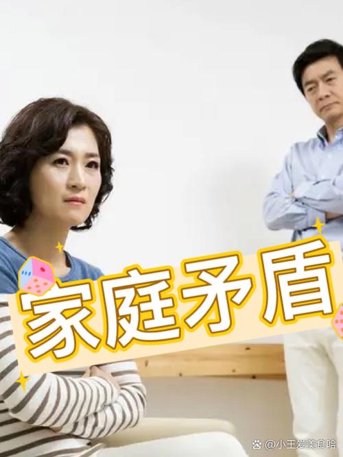 《家庭矛盾》在线播放