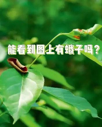 vivo怎么隐藏应用图标