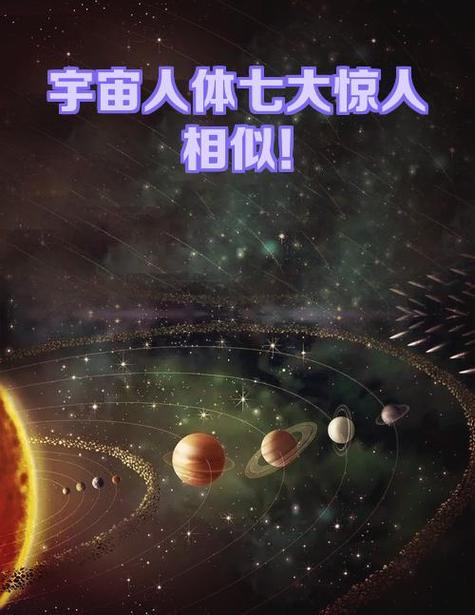 人体器官宇宙对比表