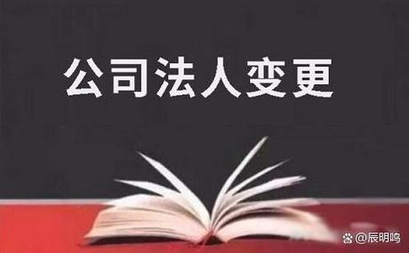 怎么取消自己的法人代表