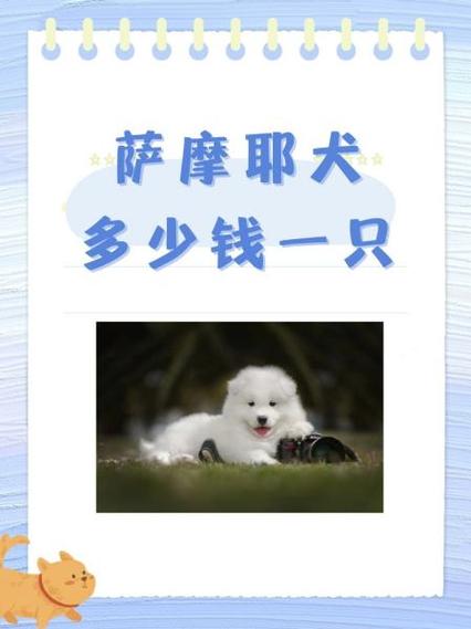 养20只狗一年能赚多少钱