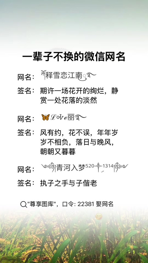 微信昵称