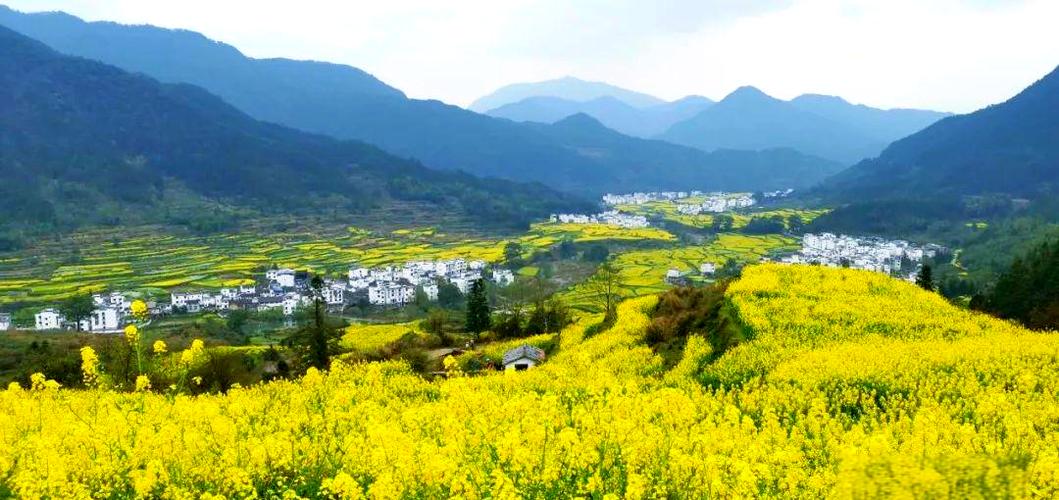 江西婺源几月份去最好