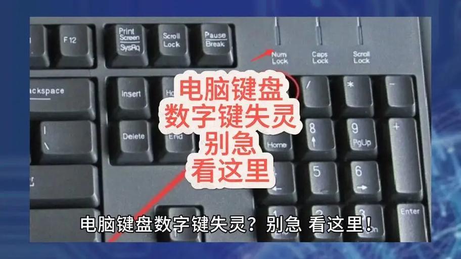 键盘无法输入数字怎么回事