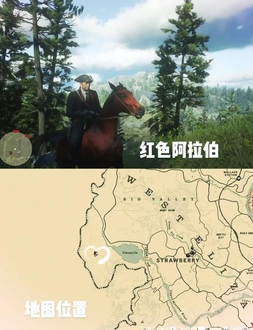 荒野大镖客2线上偷来的马