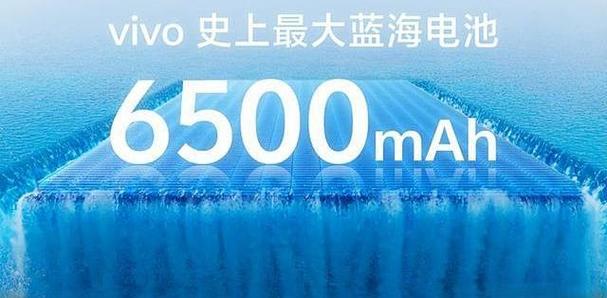 vivo手机哪款续航时间最长