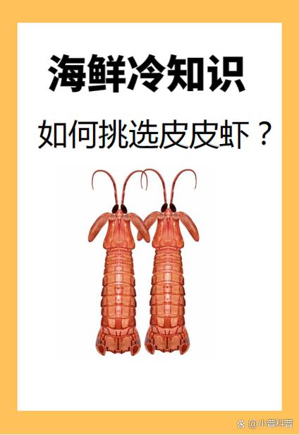皮皮虾怎么养殖