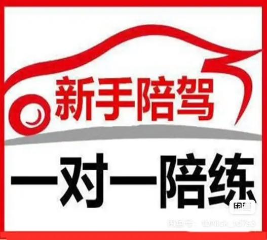练车陪练平台