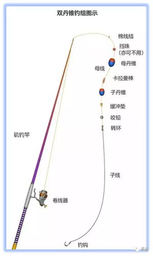 矶竿钓法