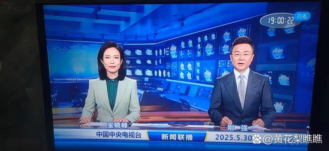 央视视频TV版