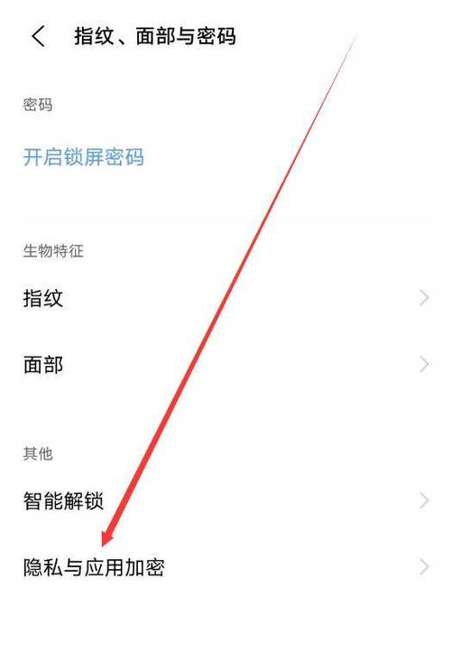 vivo隐私空间原始密码是多少